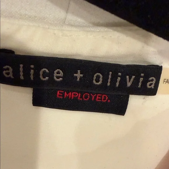 Alice and Olivia
Dorma Color-Block Shift Dress Size Large - Picture 3 of 10